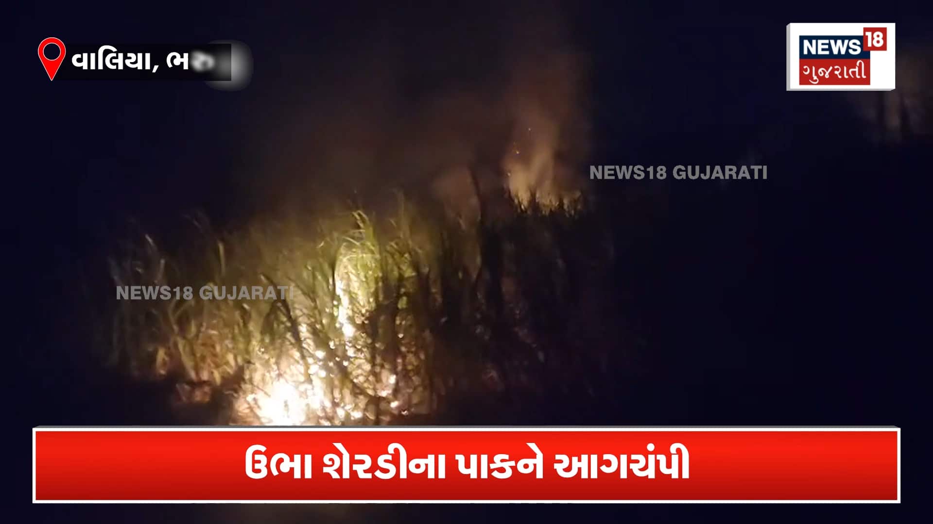3 એકરમાં ઉભેલા શેરડીના પાકને કોણે સળગાવ્યો ?