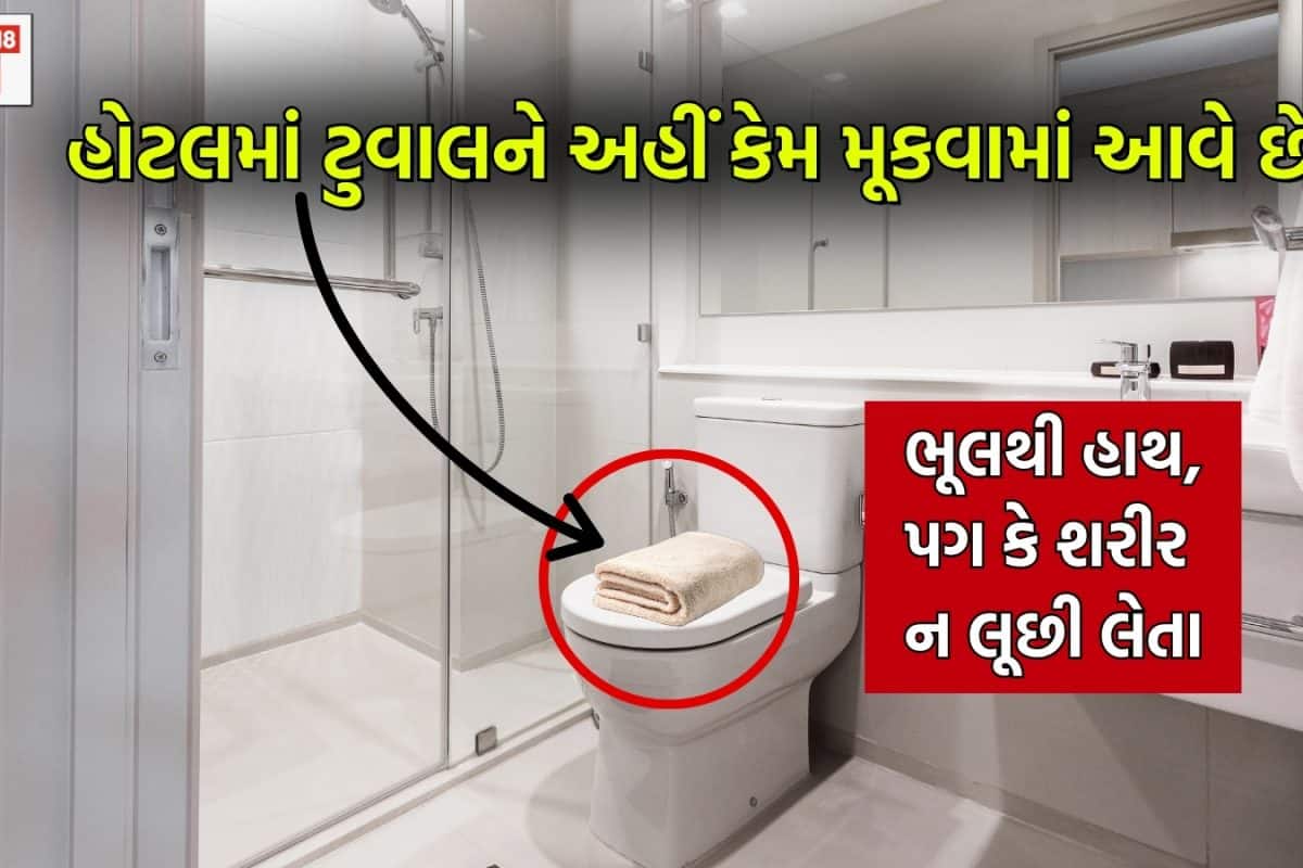 Hotel Secrets: હોટલમાં ટોયલેટના ઢાંકણા પર ટુવાલ કેમ રાખે છે સ્ટાફ? ભૂલથી પણ ચહેરો ન લૂછતા, તેનો સાચો ઉપયોગ અલગ છે