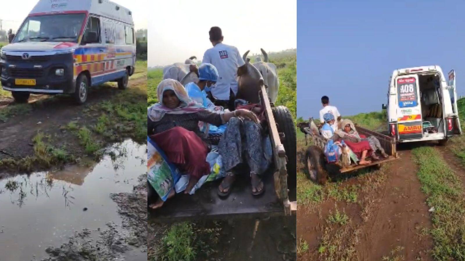 બળદગાડું અને 108 બન્યાં જન્મદાતા, રસ્તો ન હોવાથી સ્ટાફ 500 મીટર દોડીને પહોંચ્યો | રાજકોટ - News18 Gujarati
