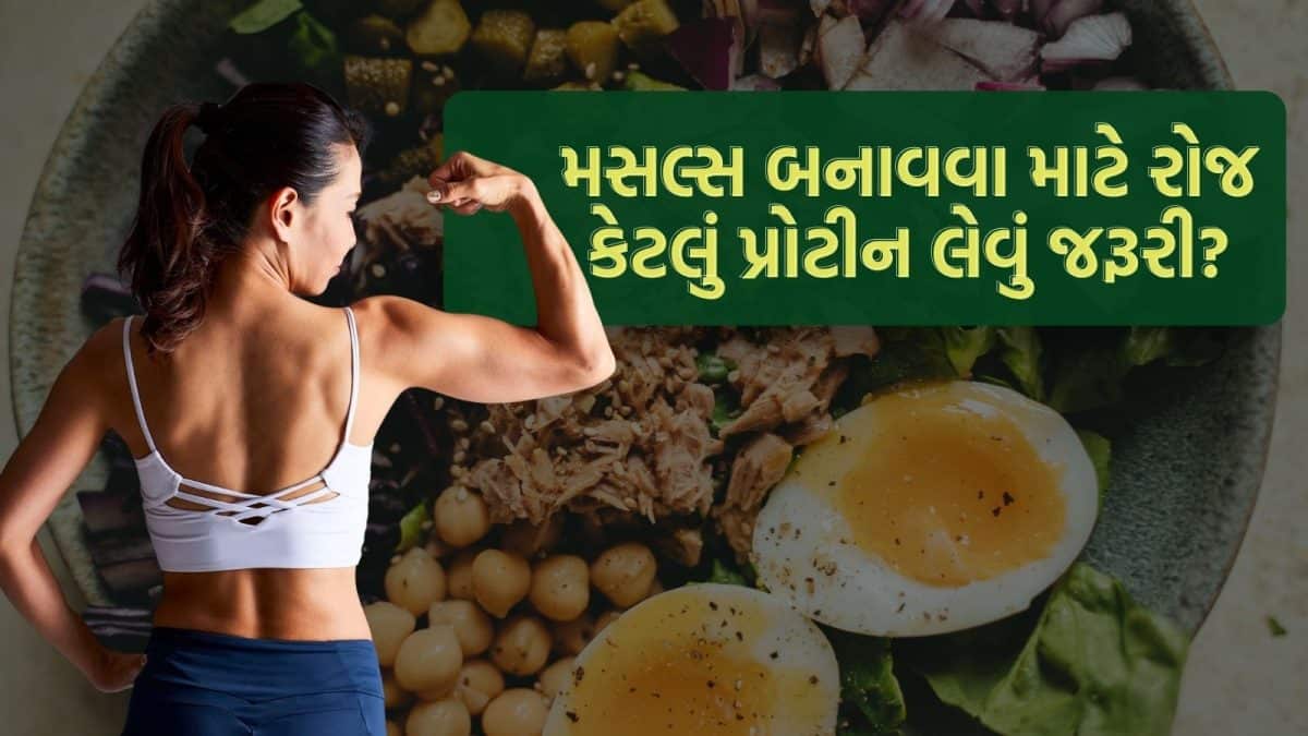 મસલ્સ માટે જીમ પૂરતું નથી, પ્રોટીન જરૂરી