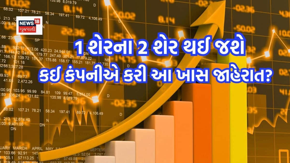 બીએલએસ ઈ-સર્વિસિઝનો સ્ટોક સ્પ્લિટ, 1 શેરના 2 શેર