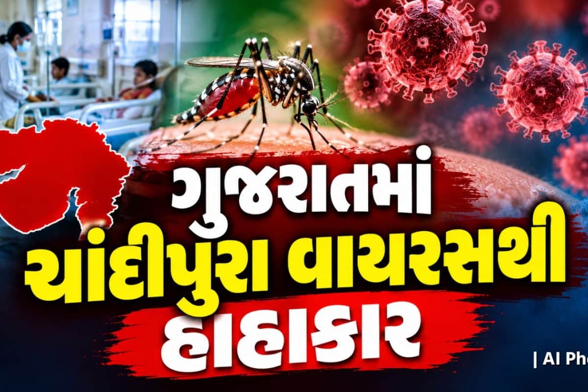 Gujarat Chandipura Virus: સાત મહિનામાં 30 બાળકો સંક્રમિત, 18 માસૂમોએ જીવ ગુમાવ્યો, જાણો કયા જિલ્લામાં સૌથી ગંભીર સ્થિતિ!