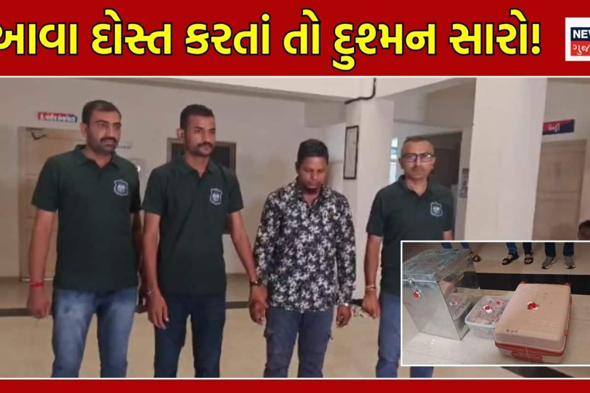 'તારે પૈસા જોવે છે? હું કહું તે કામ કરીશ તો તને રૂપિયા મળશે', મિત્રને પૈસાની મદદ કરવાના બદલે એવા ધંધામાં લગાવ્યો કે જેલ જવાના વારા આવ્યા