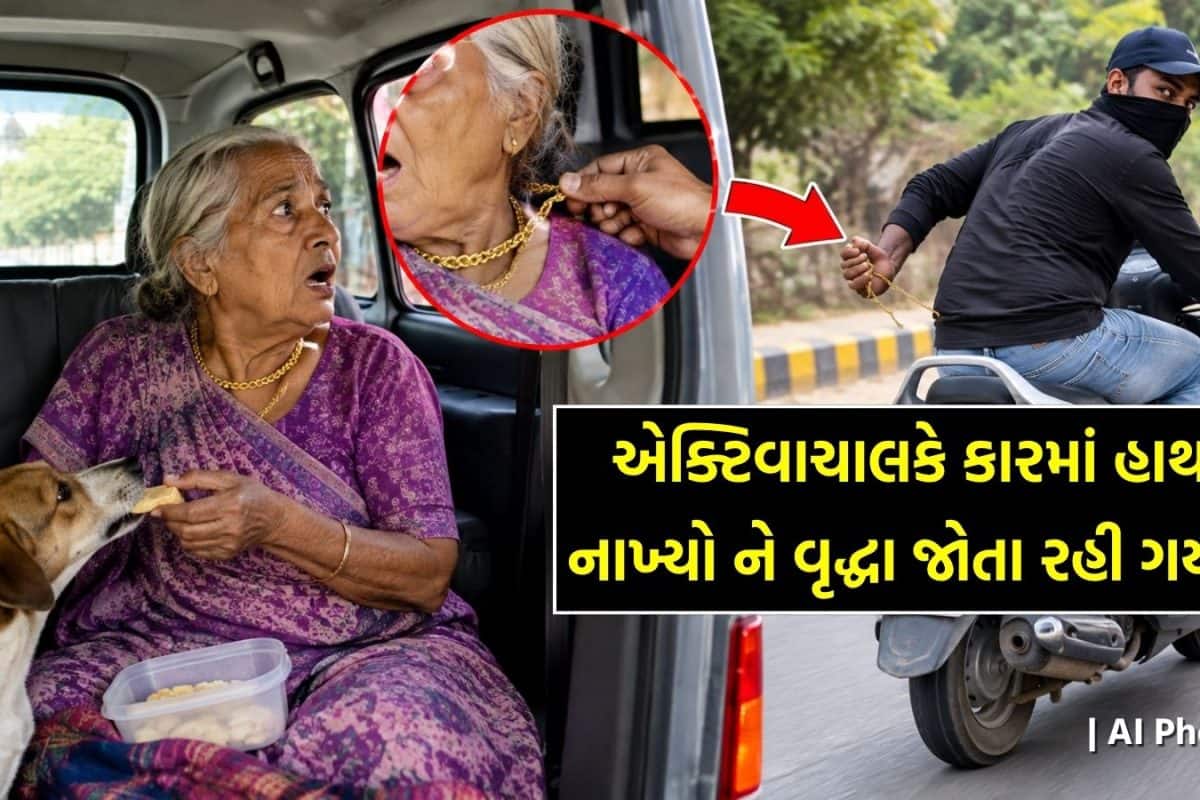 સવાર સવારમાં કુતરાને રોટલી ખવડાવવા આવેલા વૃદ્ધા સાથે એવું તો શું બન્યું કે કાર લઈને એક્ટિવા વાળાની પાછળ પડ્યા