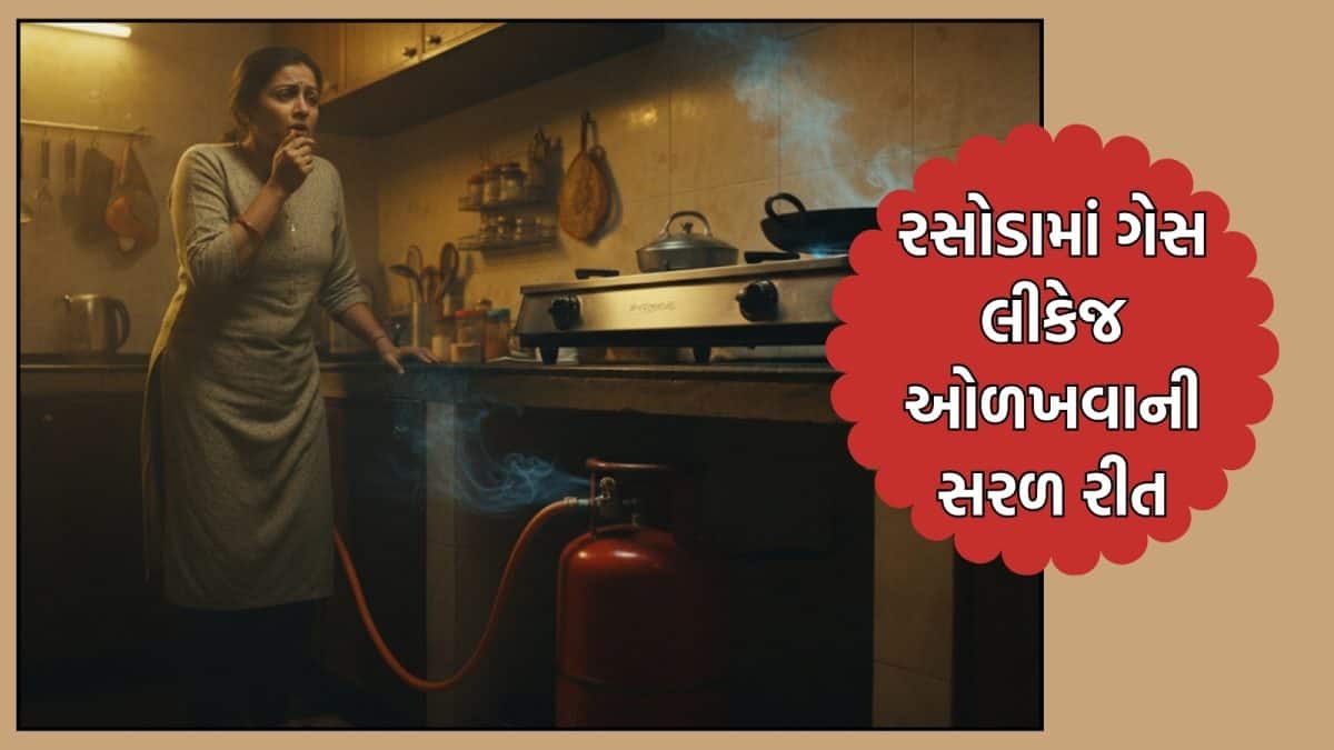 ગેસ લીકેજથી બચવા માટે જાણો સરળ ટિપ્સ
