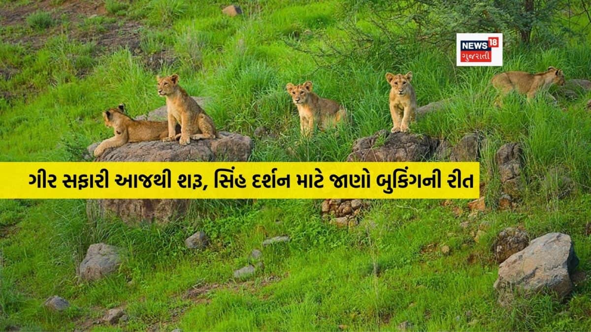 ગીર અભયારણ્ય સફારી 9 ઓક્ટોબરથી શરૂ