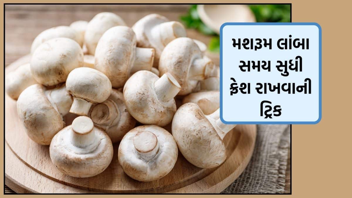 મશરૂમને પ્લાસ્ટિકમાં નહીં, કાગળની થેલીમાં રાખો
