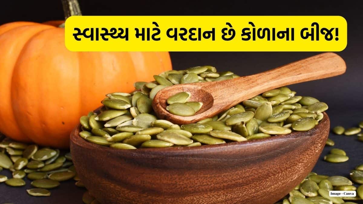 કોળાના બીજ: પોષણથી ભરપૂર, આહારમાં સામેલ કરવાની 5 સરળ રીતો