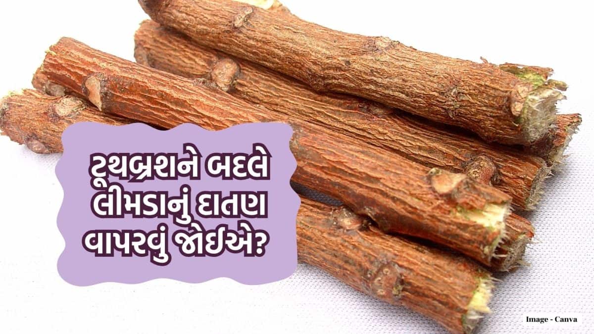 લીમડાના દાતણથી દાંત સાફ કરવો કેટલો ફાયદાકારક?