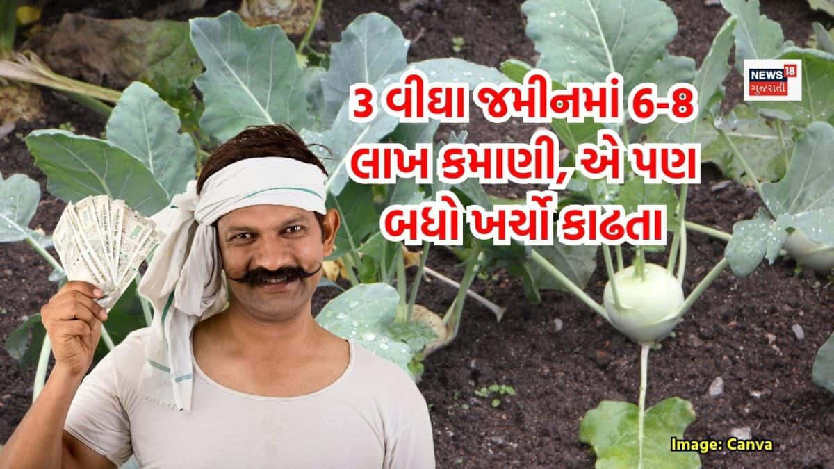 રવિ સીઝનમાં ગાંઠ કોબીની ખેતી: 60 દિવસમાં 6-8 લાખની કમાણી