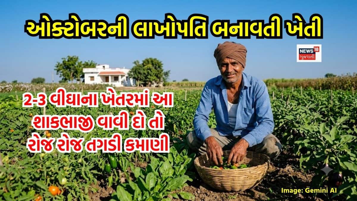 ઓક્ટોબરમાં બ્રોકલી, ફ્લાવર સહિત 5 શાકભાજીની ખેતી ફાયદાકારક