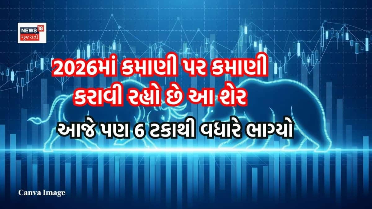 ક્યૂપિડ શેર 6% ઉછળ્યો, વર્ષની નવી હાઈ