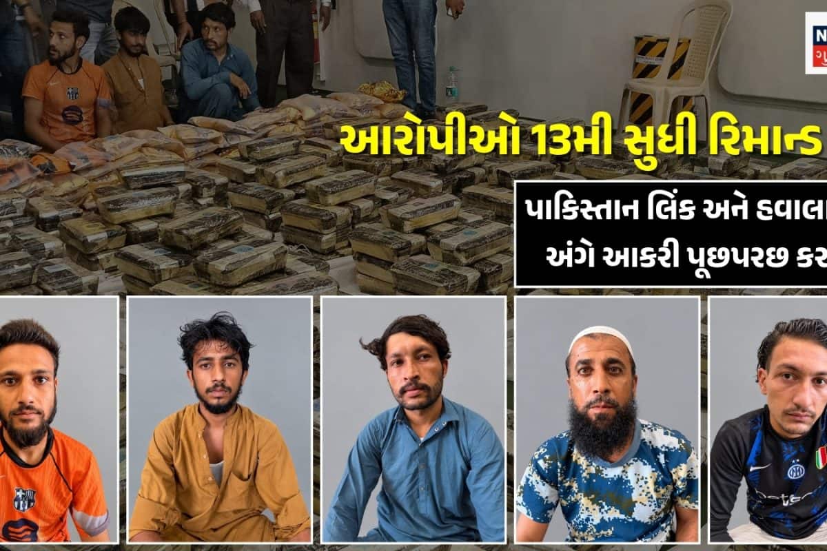 3000 કરોડ ડ્રગ્સ કેસમાં તમિલનાડુના 'થેલાપતિ'નું શું છે કનેક્શન? હવાલા મારફતે થતો હતો પૈસાનો વ્યવહાર, કોણ છે અસલી માસ્ટરમાઇન્ડ?
