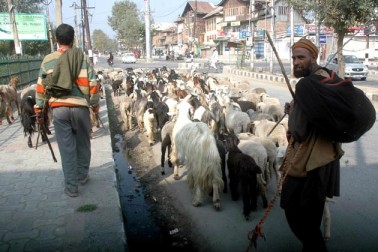 وادی میں 8 جولائی کو حزب المجاہدین کمانڈر برہان وانی کی جنوبی کشمیر کے ضلع اننت ناگ میں اپنے دو دیگر ساتھیوں سمیت ہلاکت کے بعد سے ہر طرح کے معمولات ٹھپ ہیں۔ برہان وانی کی ہلاکت کے بعد وادی میں شروع ہوئی آزادی حامی احتجاجی لہر کے دوران سیکورٹی فورسز اور ریاستی پولیس کی کاروائی میں قریب 88 عام شہری ہلاک جبکہ 13 ہزار دیگر زخمی ہوگئے۔ وادی میں 8 جولائی کو حزب المجاہدین کمانڈر برہان وانی کی جنوبی کشمیر کے ضلع اننت ناگ میں اپنے دو دیگر ساتھیوں سمیت ہلاکت کے بعد سے ہر طرح کے معمولات ٹھپ ہیں۔ برہان وانی کی ہلاکت کے بعد وادی میں شروع ہوئی آزادی حامی احتجاجی لہر کے دوران سیکورٹی فورسز اور ریاستی پولیس کی کاروائی میں قریب 88 عام شہری ہلاک جبکہ 13 ہزار دیگر زخمی ہوگئے۔
