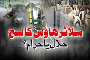 خاص پروگرام : غازی پور مذبح میں نہیں اپنایا جارہا شرعی طریقہ ، بکروں کو دئے جاتے ہیں بجلی کے جھٹکے