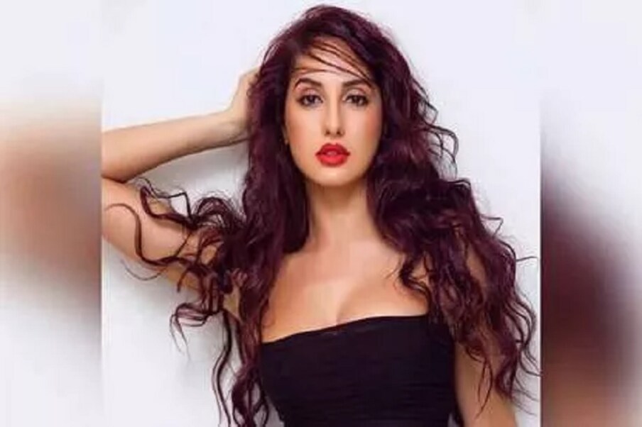 نورا فتیحی کو ہارڈی سندھو کے میوزک البم کیا بات ہے سے خاصی پہچان ملی تھی۔