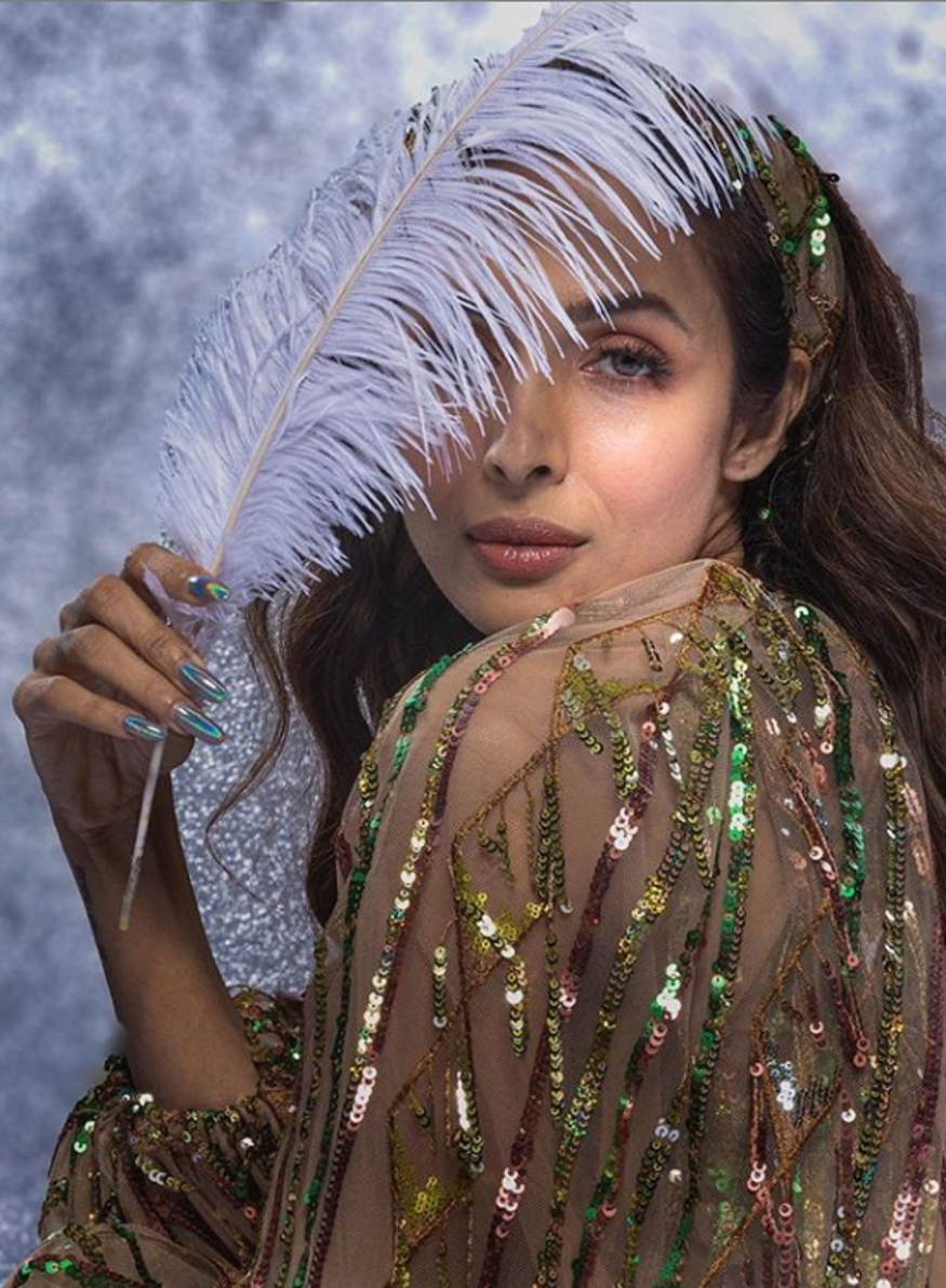  ملائیکہ اروڑہ ( Malaika Arora ) ۔ تصویر : انسٹاگرام ۔