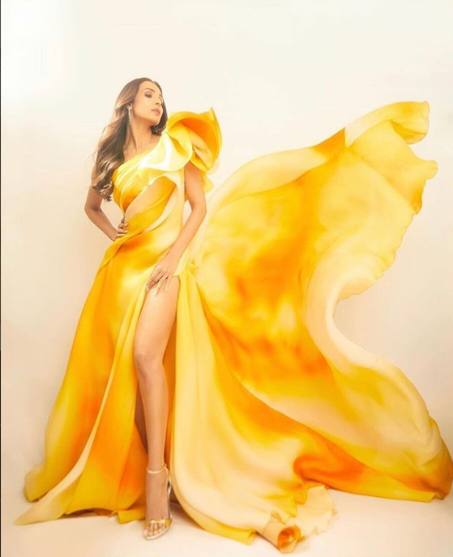  ملائیکہ اروڑہ ( Malaika Arora ) ۔ تصویر : انسٹاگرام ۔
