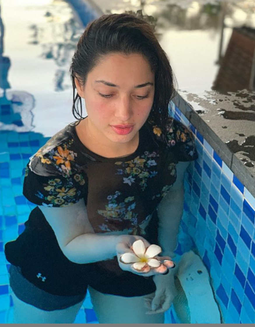 بالی ووڈ کی گلیمرس اداکارہ تمنا بھاٹیہ ( Tamannaah Bhatia ) ۔ تصویر : انسٹاگرام ۔