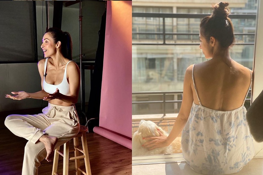 ممبئی: بالی ووڈ اداکارہ ملائیکہ اروڑہ (Malaika Arora) اپنے بولڈ لکس اور اسٹائلسش انداز کے ساتھ ہمیشہ سرخیوں میں بنی رہتی ہیں۔ ممبئی: بالی ووڈ اداکارہ ملائیکہ اروڑہ (Malaika Arora) اپنے بولڈ لکس اور اسٹائلسش انداز کے ساتھ ہمیشہ سرخیوں میں بنی رہتی ہیں۔