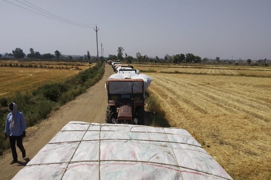 مدھیہ پردیش میں 24 اسمبلی سیٹوں ضمنی انتخاب سے قبل شیو راج حکومت نے کسانوں کو تحفہ دیا ہے۔