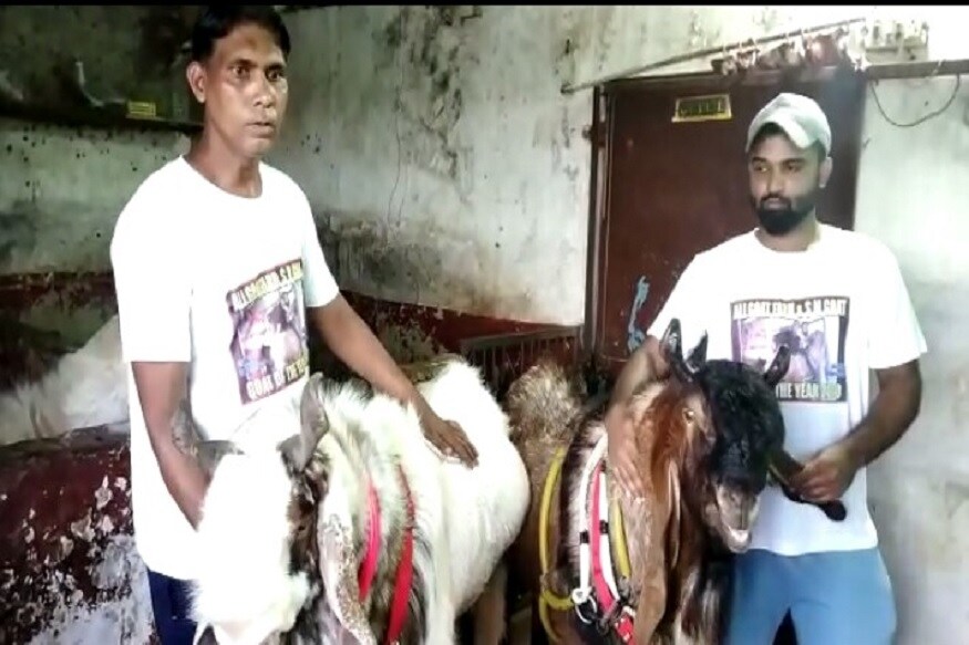 اس خاص بکرے کو خریدنے والے پونہ کے ثقلین بتاتے ہیں کہ اس بکرے کو 7,25,000 میں انہوں نے خریدا ہے اور اس بکرے کی وہ قربانی کریں گے۔