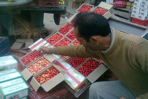 سرینگر ۔جموں قومی شاہراہ کے بند ہونے سے وادی کشمیر کی میوہ صنعت کو بھاری مالی نُقصان کا سامنا سرینگر ۔جموں قومی شاہراہ کے بند ہونے سے وادی کشمیر کی میوہ صنعت کو بھاری مالی نُقصان کا سامنا