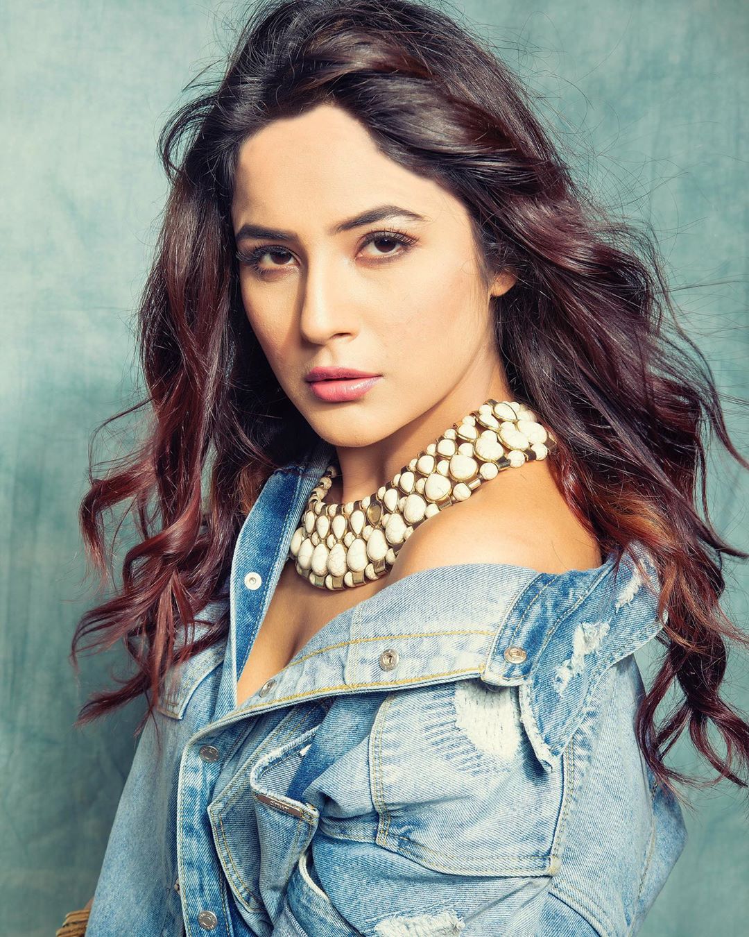  بگ باس۔13 فیم شہناز گل: تصویر، انسٹاگرام۔