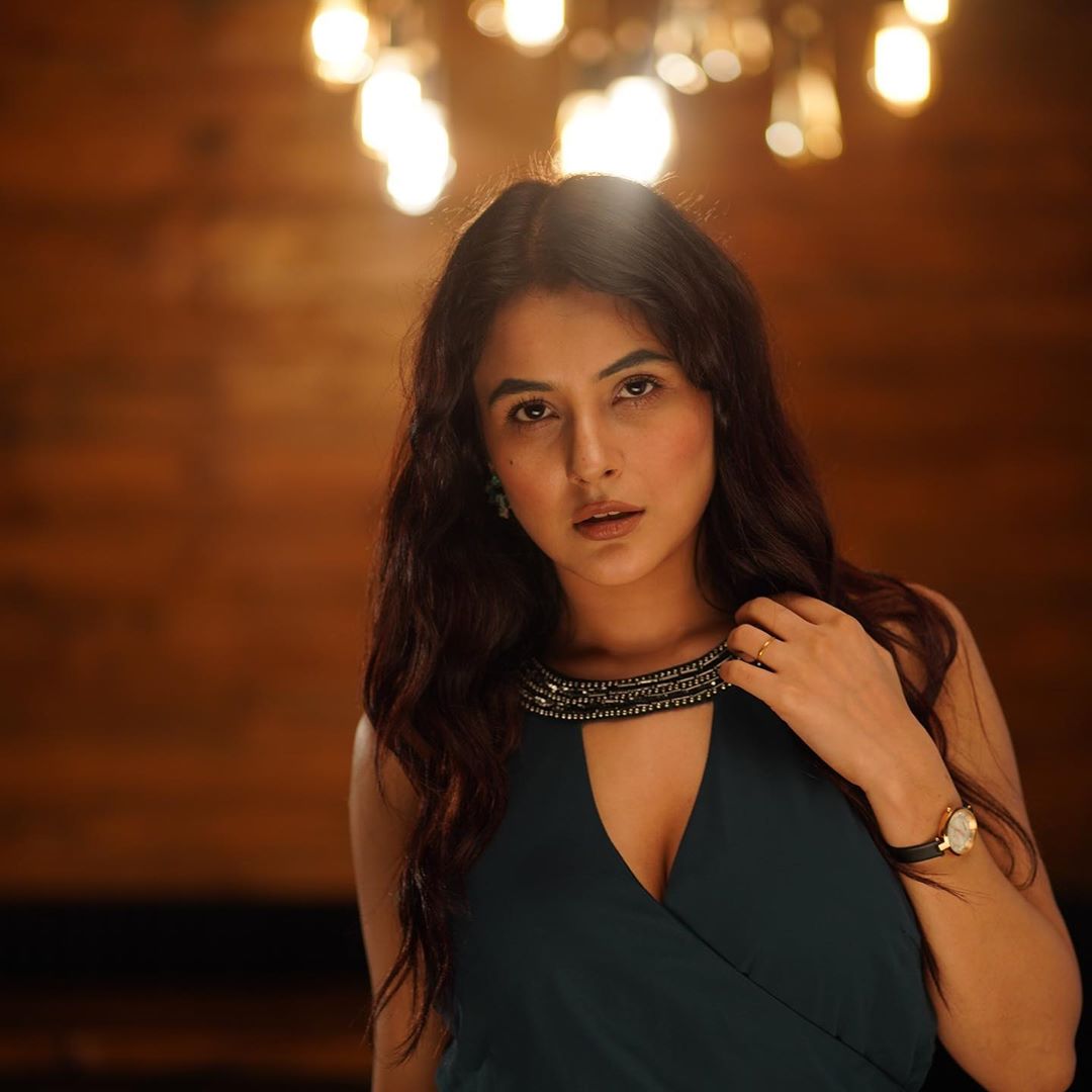  بگ باس۔13 فیم شہناز گل: تصویر، انسٹاگرام۔