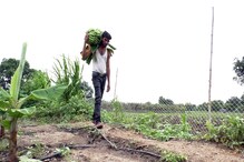بچوں کا قومی بہادری ایوارڈ یافتہ ناندیڑ کا اعجاز نداف کھیتوں میں مزدوری کرنے پر مجبور