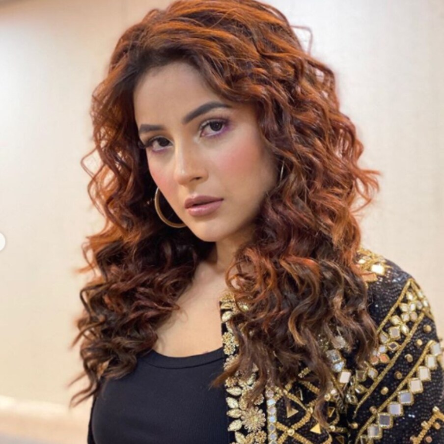  اداکارہ شہناز گل ۔ (تصویر: Instagram/@shehnaazgill)