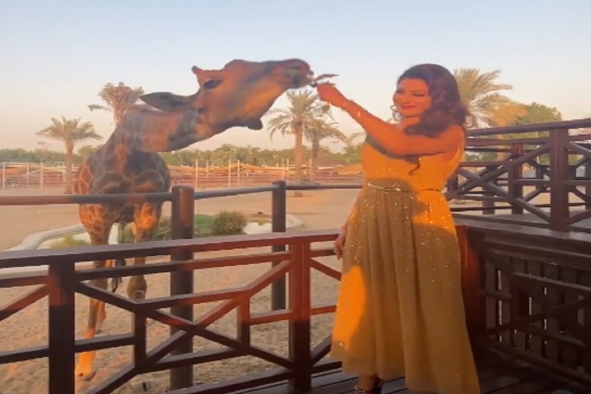 بالی ووڈ اداکارہ اروشی روتیلا (Urvashi Rautela) ان دنوں اپنی فیملی کے ساتھ دبئی (Dubai) میں چھٹیوں کا لطف اٹھارہی ہیں ۔ وہ سوشل میڈیا پر اکثر اپنی تصاویر اور ویڈیوز شیئر کرتی رہتی ہیں ۔ (Photo: Instagram) بالی ووڈ اداکارہ اروشی روتیلا (Urvashi Rautela) ان دنوں اپنی فیملی کے ساتھ دبئی (Dubai) میں چھٹیوں کا لطف اٹھارہی ہیں ۔ وہ سوشل میڈیا پر اکثر اپنی تصاویر اور ویڈیوز شیئر کرتی رہتی ہیں ۔ (Photo: Instagram)