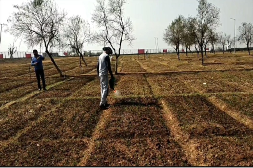 <br />ان کا کہنا ہے اگر اس صعنت کو بچانا ہے تو کسانوں کو بھی اس زمین پر نئے بیج بونے چاہئے اور آبپایش کے انتظام کرنے چاہئیں تب ہم اس صعنت کو بچاسکتے ہیں ۔ <br />ان کا کہنا ہے اگر اس صعنت کو بچانا ہے تو کسانوں کو بھی اس زمین پر نئے بیج بونے چاہئے اور آبپایش کے انتظام کرنے چاہئیں تب ہم اس صعنت کو بچاسکتے ہیں ۔