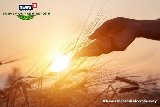 عوام کی اکثریت نئے زرعی قوانین کی حمایت میں، احتجاج ختم کرنے کو کہا: نیوز 18 نیٹ ورک سروے عوام کی اکثریت نئے زرعی قوانین کی حمایت میں، احتجاج ختم کرنے کو کہا: نیوز 18 نیٹ ورک سروے