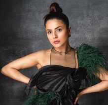 سدھارتھ شکلا کی موت کے بعد Shehnaaz Gill کا بیحد ہی بولڈ اوتار آیا سامنے تو فینس بولے یہ۔۔