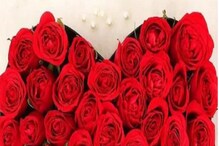 Wedding Night: شادی کے بستر ہمیشہ گلاب کی پنکھڑیوں سے کیوں ہوتے ہیں مزین؟ یہ رہا جواب