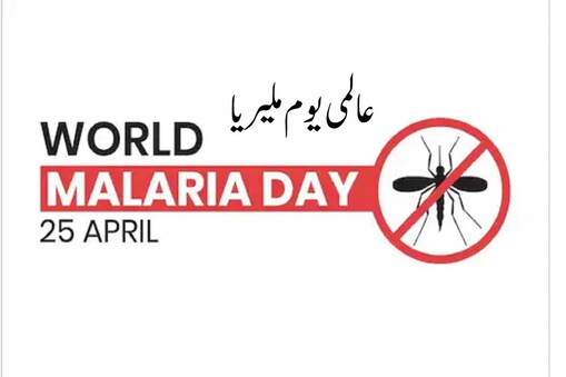 عالمی یوم ملیریا، ملیریا کے خلاف عالمی جنگ کے بارے میں زیادہ سے زیادہ بیداری لانے اور پوری دنیا میں ملیریا کے وجود سے متعلق شعور بیداری کے لیے منایا جاتا ہے۔ یہ ان لوگوں کے لیے بھی اہم ہے، جو نہیں جانتے کہ یہ مہلک بیماری مادہ اینوفیلس مچھروں (female Anopheles mosquitoes) کے کاٹنے سے پھیلتی ہے جو پلازموڈیم طفیلہ (plasmodium parasite) سے متاثر ہوتی ہے اور جب مچھر انسان کو کاٹتا ہے تو خون میں ایک طفیلی خارج ہوتا ہے جس کے نتیجے میں ملیریا ہوتا ہے۔