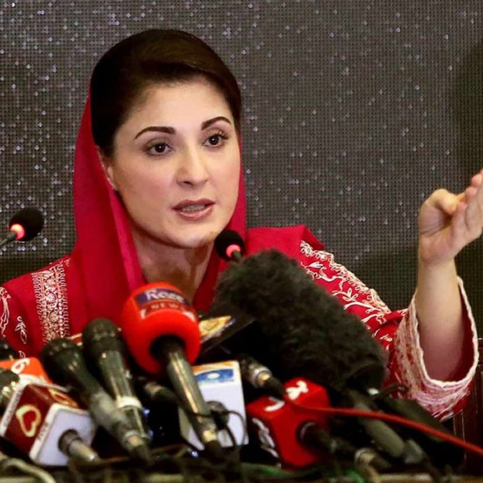 مریم نواز کی بیٹی مہرالنسا نے دسمبر 2015 میں صنعت کار چودھری منیر کے بیٹے راحیل سے شادی کی تھی۔