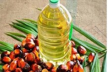 Oil Price: انڈونیشیا کے پام آئل کی برآمد پر پابندی، خوردنی تیل کی قیمتوں میں مزید اضافہ