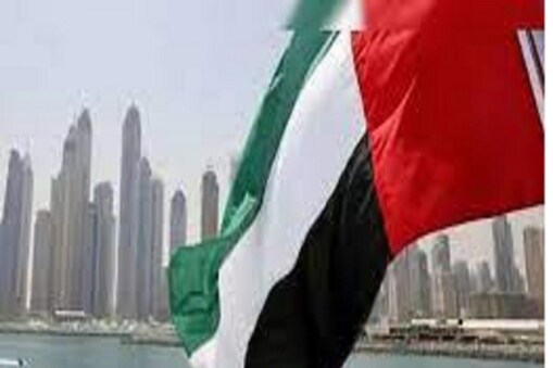 یو اے ای کے وزیر اعظم اور نائب صدر شیخ محمد بن راشد المکتوم (Sheikh Mohammed bin Rashid al-Maktoum) جو تجارتی مرکز دبئی کے حکمران بھی ہیں، انھوں نے کابینہ کے فیصلے کا حوالہ دیتے ہوئے ٹویٹر پر کہا کہ بیمہ شدہ ملازمین کو بے روزگار ہونے کی صورت میں محدود مدت کے لیے کچھ رقم ملے گی۔