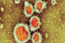 Explained: سردی جیسی علامات کے ساتھ یہ عام وائرس کیسے 5 سال سے کم عمر بچوں کو کررہا متاثر؟