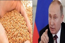 Wheat Exports:گیہوں کے ایکسپورٹ کو لے کر روس اور مغربی ممالک میں کشیدگی