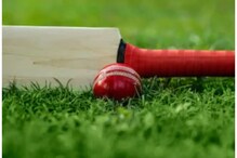 Cricket News: پاکستان کرکٹ بورڈ نے خاتون کرکٹر سے چھیڑ چھاڑ کے الزام میں کوچ کو کیا معطل