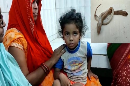Bihar: چار سال کے بچے کو کاٹنے کے بعد کیسے تڑپ تڑپ کر مرگیا کوبرا؟ ہوا چونکانے والا انکشاف