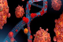 Langya Virus: چین میں لانگیاوائرس کاقہر! 35 افرادمتاثر، کیااب یہ وائرس بھی پوری دنیا.....؟