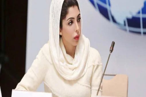 یہ دعوی کرتے ہوئے کہ پچھلے 25 سال میں 12.5 ملین مسلمان جنگوں میں مارے گئے، شہزادی ہند بنت فیصل القاسمی نے لکھا کہ آپ نے کبھی کسی مسلمان کو کتابیں لکھتے ہوئے اور فلمیں بناتے ہوئے نہیں سنا ہوگا۔ ایسا قانون شروع کیا جائے کہ اگر آپ کو ہماری حالت زار پر ہمدردی نہیں ہے تو آپ انسان سے کم ہیں۔ 