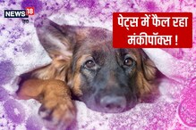 انسانوں سے پالتو جانوروں میں پھیل رہا ہے Monkeypox! ان احتیاطی تدابیر پر کریں عمل