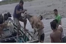 مویشیوں کو اسمگلرس سے بچانے BSF کا منصوبہ، پارلیمانی پینل کے تحت پروٹوکول کے قیام پر زور
