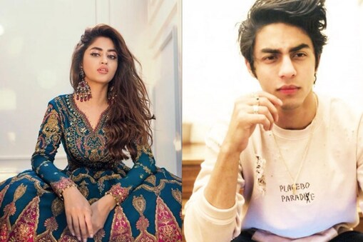 شاہ رخ خان کے بیٹے آرین خان پر دل ہار بیٹھی پاکستان کی یہ اداکارہ، خاص انداز میں ظاہر کیا پیار ۔ تصویر : Instagram @___aryan___, sajalaly