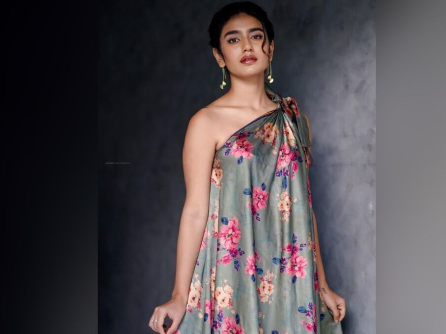  اداکارہ کی پوسٹ پر کئی لوگوں نے لکھا: جلد بازی میں چادر پہن لی ہے کیا ۔۔۔۔ وہیں کسی کو ان کا یہ کاسچیوم بیڈ شیٹ نظر آرہا ہے ۔ (Photo Source- Instagram Priya Prakash)